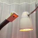 사당정형외과의원 이미지