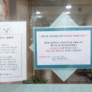 케이디펫 이미지