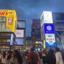 곰돌이청과 이미지