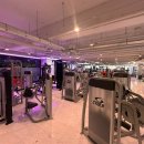 머슬 라운지 이미지