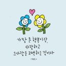 morning soft 이미지