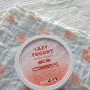 플레인 - 고양시 일산동구 월드고양로 19 | 레이지요거트 : 여름맛 그릭요거트 맛집 🍧 자몽맛, 황치즈, 플레인 그릭요거트 후기