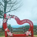 소소루 | 대전 세종 근교 힐링 카페 소소루