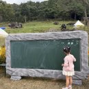 짱돌식당 | 2025 화순 고인돌 가을꽃 축제 다녀온 후기 체험부스 티켓요금 먹거리 주차꿀팁