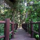 남산 마을회관 앞 이미지