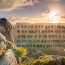 아이엠(iam)
