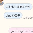치치톡