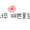 사리나무꽃이피는집 이미지