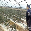 일년농사