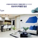 반도OA