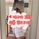 혜리네민박 | 렌트 잘하는 꿀팁 (with 질문 리스트) | 도서관에서 무료로 레쥬메 출력 | LCBO 첫 방문 후기| H mart 구경