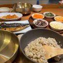 하늘보리밥 이미지