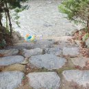 천사봉 오토 캠핑장 | 양평 천사봉 캠핑장 후기!!