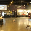 애견호텔1번가 이미지