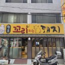 원조꼬리치는돼지 이미지