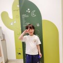 스타약국 | 일요일에도 여는 스타필드 시티 부천 소아과 약국 토요일 오픈런 후기