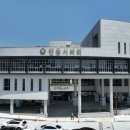 267 데일리한국