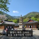 제주 불탑사 오층석탑 | 불탑사 제주: 고려의 숨결, 오층석탑에 서리다