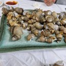 흑산도세꼬시식당 이미지