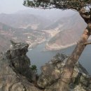 6월22일 목요 정기산행/ 칠전동 드름산; 8주년 기념행사 이미지