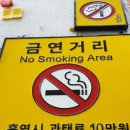 주식회사 로디스