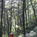 Re: ♡1352차2025.07.20. 승학산 숲속둘레길 산행공고♡ 이미지