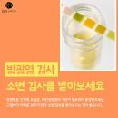 테라화성 이미지