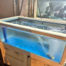 풍성한회나라 이미지