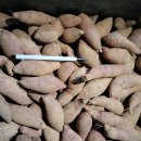 못난이 비품 꿀고구마 주말 드실분~ 이미지