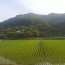 홍산관광농원 캠핑장 이미지