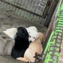 올림푸스원 이미지