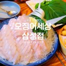 선릉 삼성역 회식 맛집 : 오징어세상 삼성점 가성비 좋은 회 맛집 광어 세트 후기!