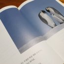 더 사랑하고 싶어서 이미지