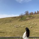 방림목장 이미지