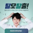 태후사랑영등