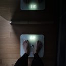 경희맘편한한의원 | 내돈내산 <경희바로한의원> 다이어트 환으로 3kg 감량 후기