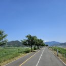 수학을풀다학원 네이버블로그