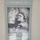 한일교류의길 이미지