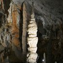 토이포이 이미지