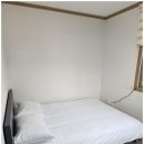 베일리애견풀빌라펜션 이미지