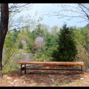 인삼전시관 이미지