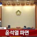 비로소 봄 이미지