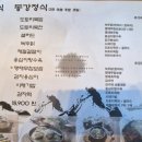 ​[김포 운양동 맛집] 엄마의봄날 부모님 모시고 가기 좋은 담백한 강원도 토속 한정식 솔직후기 (가격/메뉴)