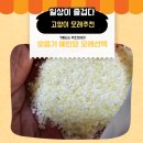 모래울화장실 | 카사바 5년차 집사가 정착한 굵은 모래 가필드 보라 후기