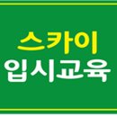 스카이입시교육