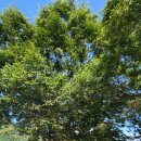 운암리농장 이미지