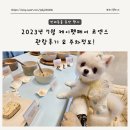 포리파이브짐 | [펫박람회] 2023년7월 케이펫페어 코엑스 관람후기 및 코엑스 주차정보
