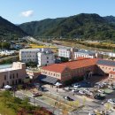 선보약국 이미지