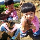 베니에듀학원 | 엄마표홈스쿨♬ 아이챌린지 3단계 10월호 / 에듀토이 탐험 놀이에 푹 빠져살아요~