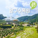 수목원 입구 | 강원도 여행지 아이랑 주말 나들이 양구 가볼만한곳 양구수목원